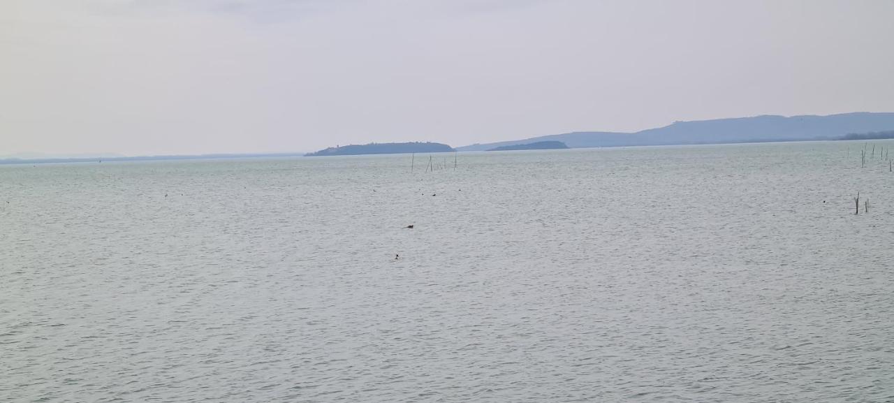 Appartamento Lago Trasimeno - Torricella Pg المظهر الخارجي الصورة